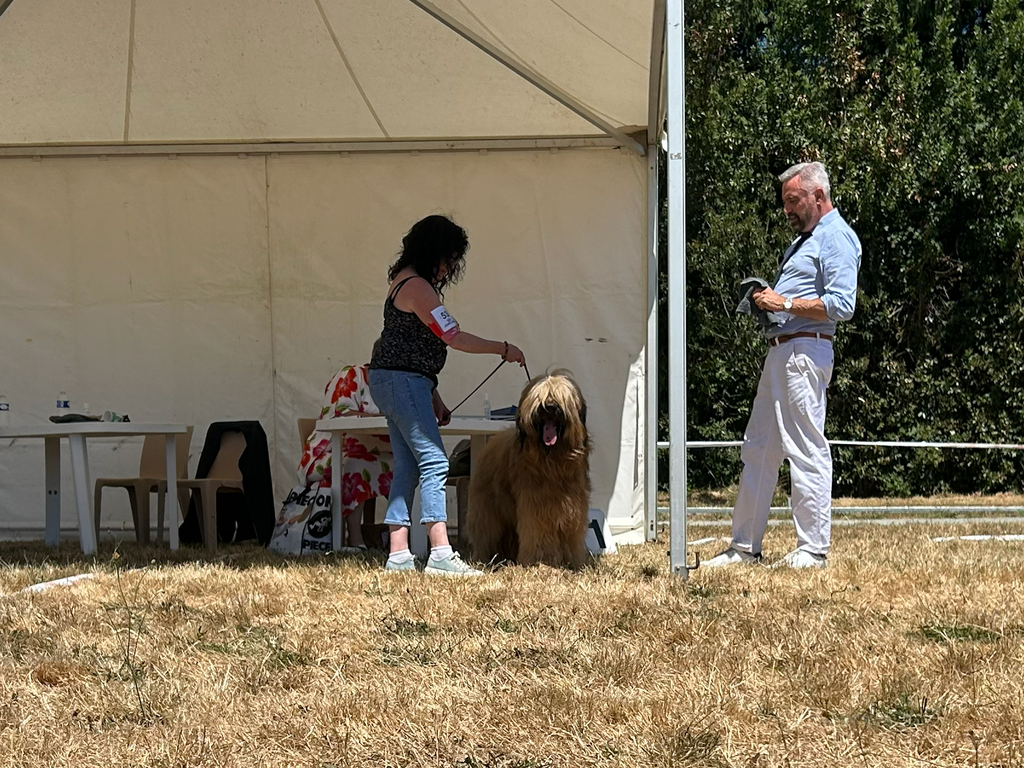 Exposition de Chateaubriant 5 juillet 2026
